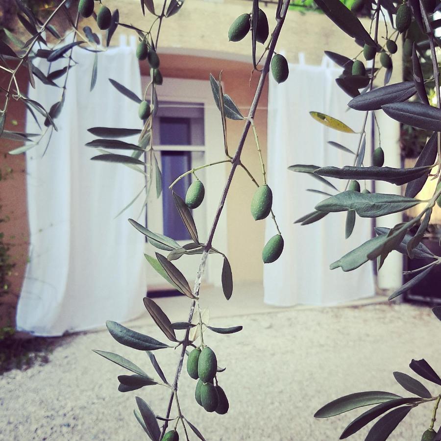 La Villa Jasmin Montauroux Exterior foto